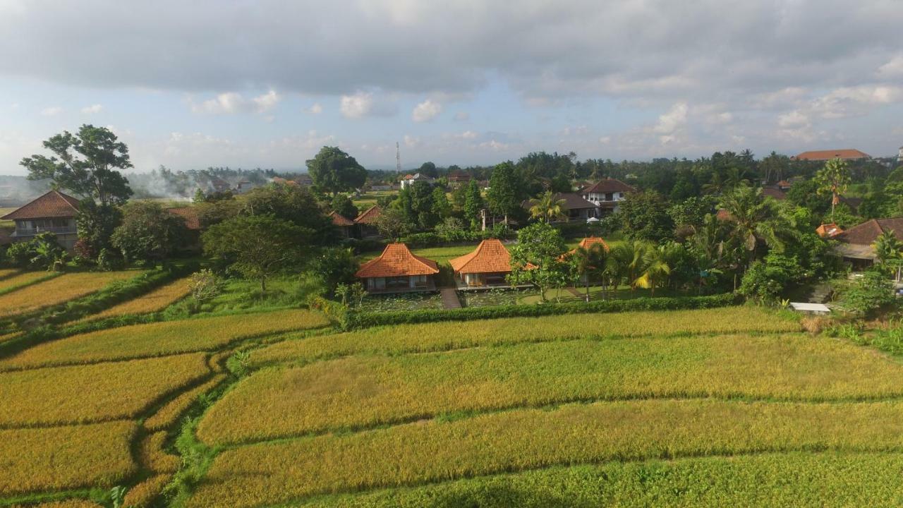 Griya Kcb Villa Ubud Mas  Esterno foto