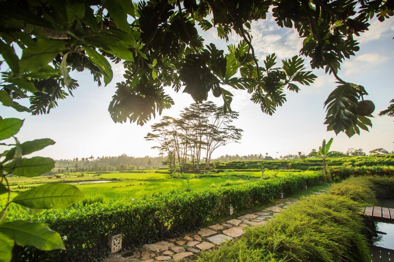 Griya Kcb Villa Ubud Mas  Esterno foto