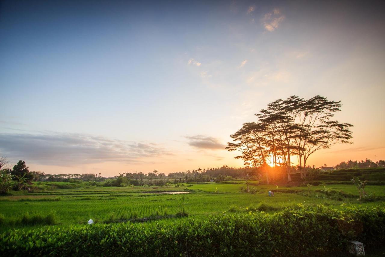 Griya Kcb Villa Ubud Mas  Esterno foto