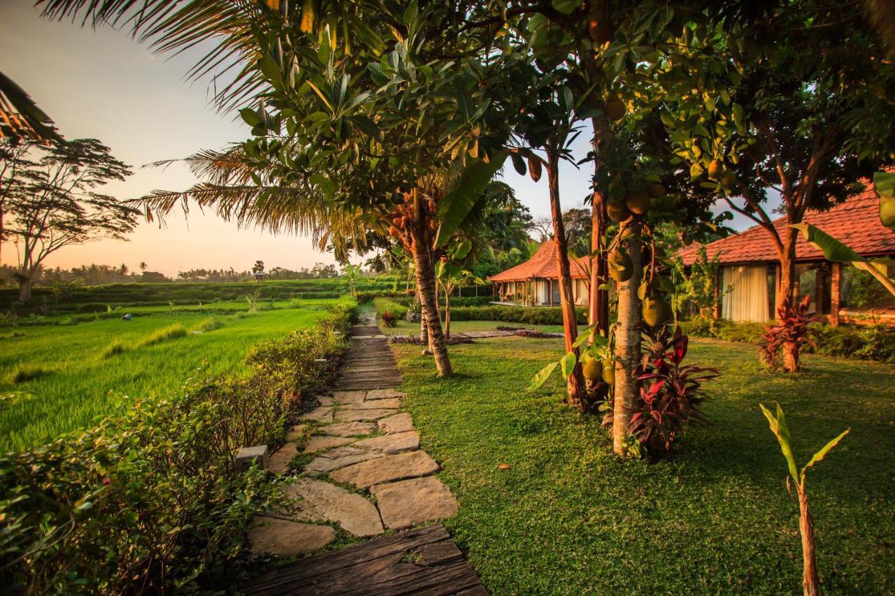 Griya Kcb Villa Ubud Mas  Esterno foto