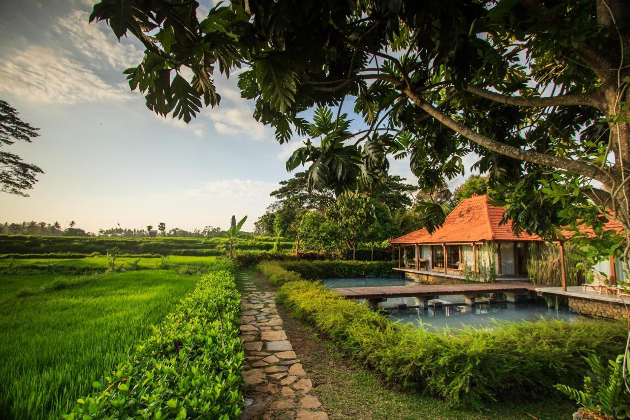 Griya Kcb Villa Ubud Mas  Esterno foto