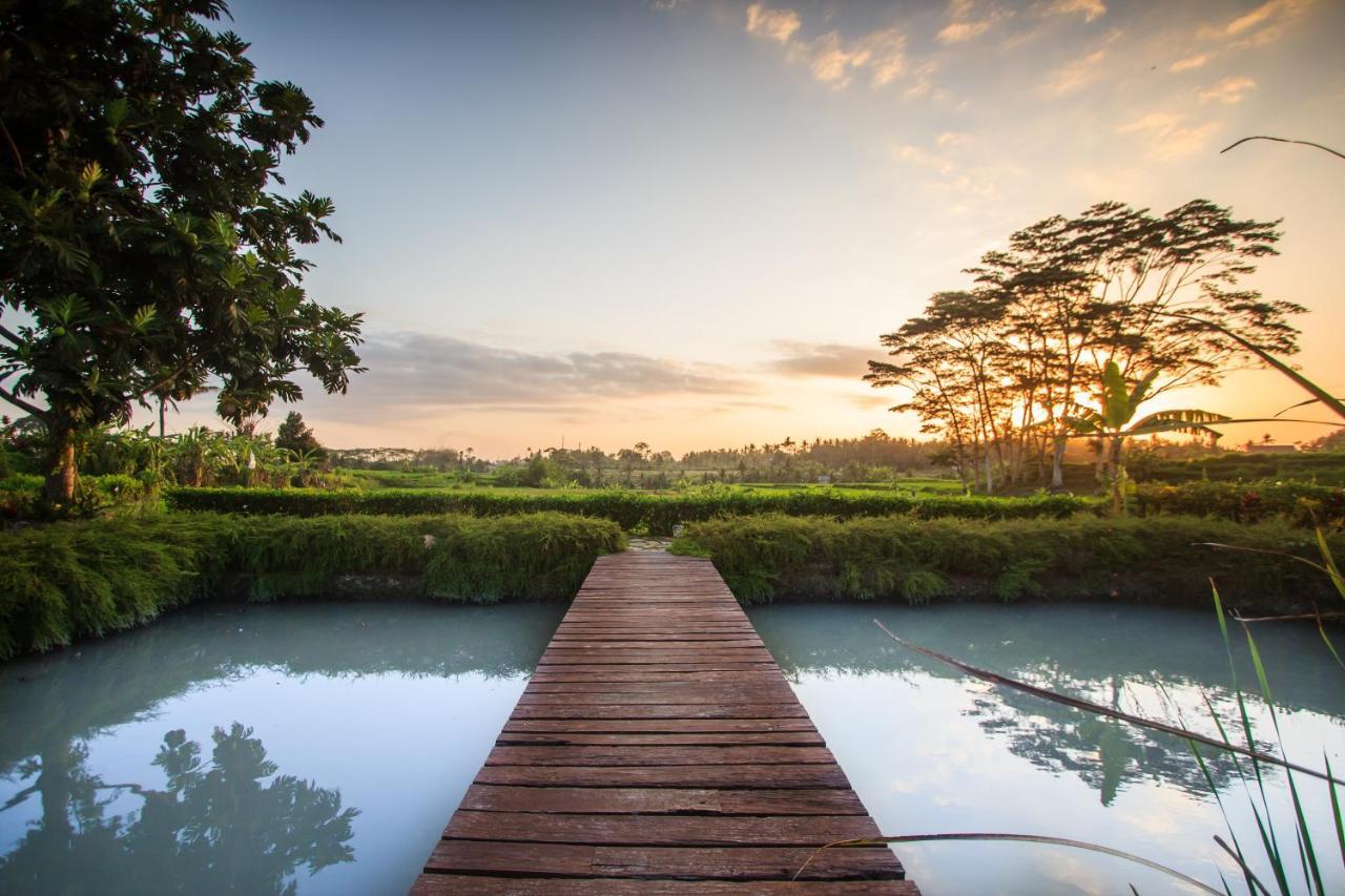 Griya Kcb Villa Ubud Mas  Esterno foto